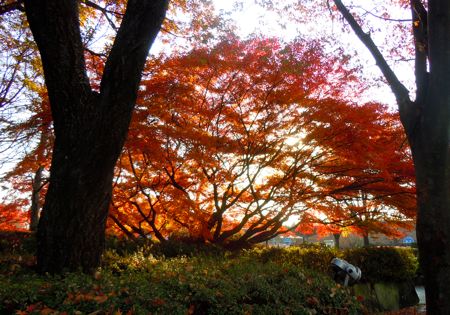 隙間の風景