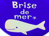 Brise de mer