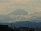 遠く富士山をのぞむ